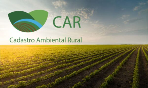 Analista em Cadastro Ambiental Rural