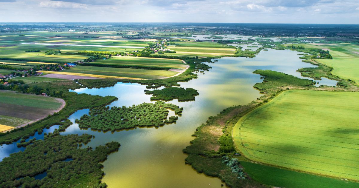 COP 15: saiba o que aconteceu na Conferência de Biodiversidade da ONU. Reprodução: canva COP 15: saiba o que aconteceu na Conferência de Biodiversidade da ONU. Reprodução: canva