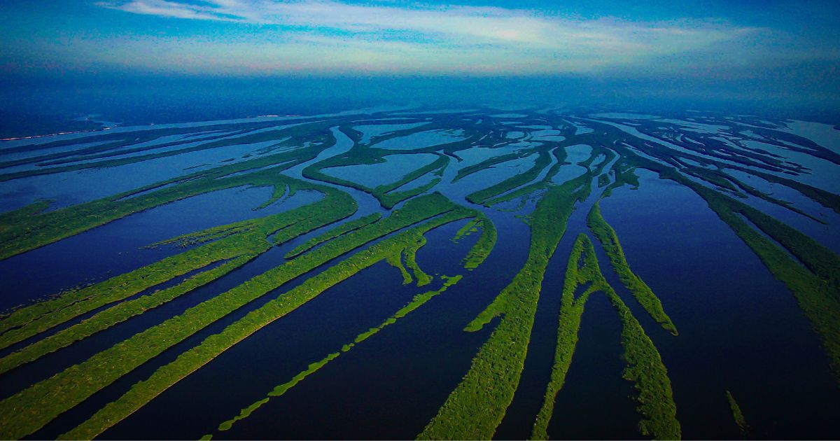 Amazônia-1: conheça o satélite 100% brasileiro. Reprodução: canva Amazônia-1: conheça o satélite 100% brasileiro. Reprodução: canva