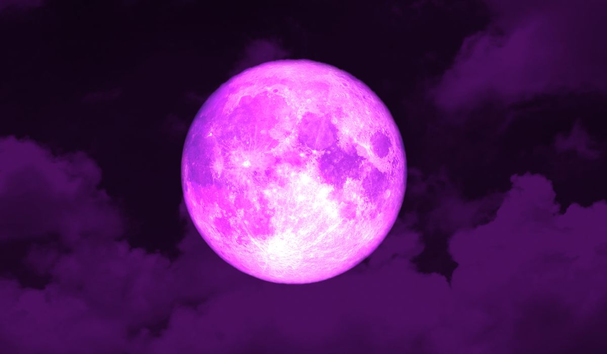 Lua Rosa - Imagem: canva/Reprodução Lua Rosa - Imagem: canva/Reprodução