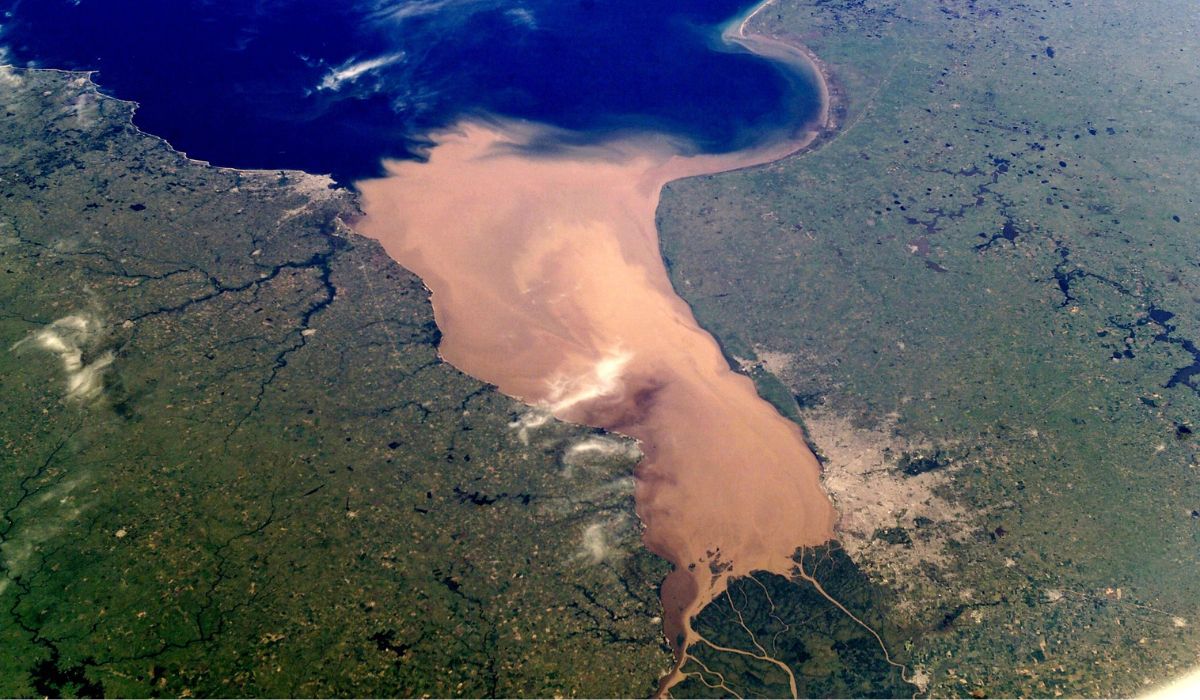 Google Earth online monitora o desmatamento na Amazônia - Imagem: Canva/Reprodução Google Earth online monitora o desmatamento na Amazônia - Imagem: Canva/Reprodução