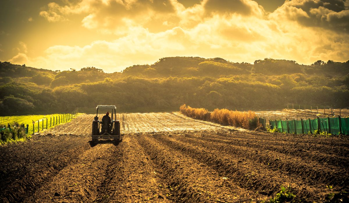 O papel do GIS na revolução da agricultura moderna — Imagem: Canva/Reprodução O papel do GIS na revolução da agricultura moderna — Imagem: Canva/Reprodução