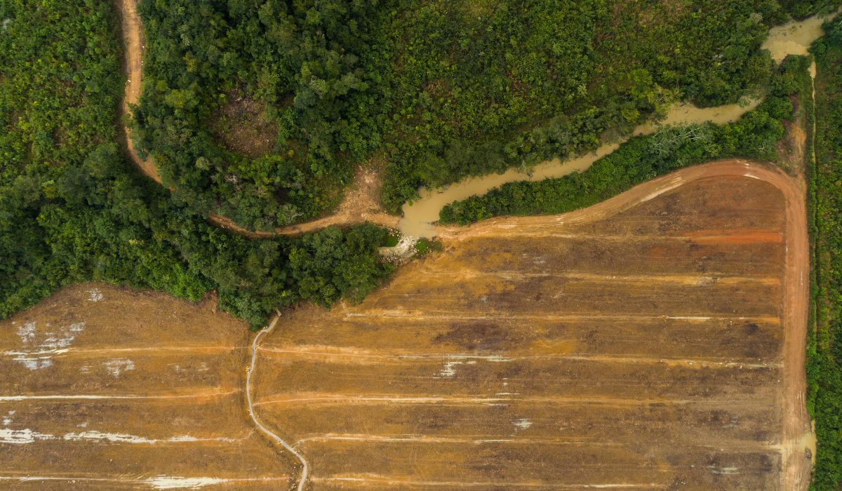 O que é Aerolevantamento e como funciona? — Imagem: Canva/Reprodução O que é Aerolevantamento e como funciona? — Imagem: Canva/Reprodução