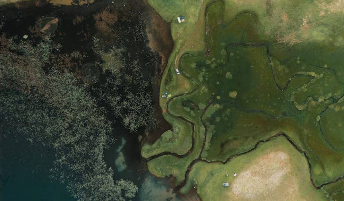 Introdução ao geoprocessamento: o que você precisa saber — Imagem: Freepik/Reprodução Introdução ao geoprocessamento: o que você precisa saber — Imagem: Freepik/Reprodução