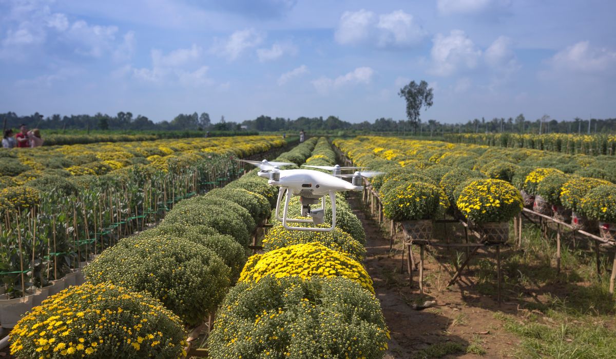 Drone multiespectral DJI Mavic 3 — Imagem: Canva/Reprodução Drone multiespectral DJI Mavic 3 — Imagem: Canva/Reprodução