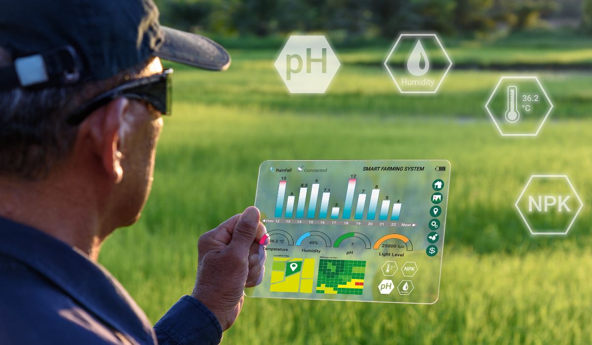 Análise de Satélite para Agricultura — Imagem: Canva/Reprodução Análise de Satélite para Agricultura — Imagem: Canva/Reprodução