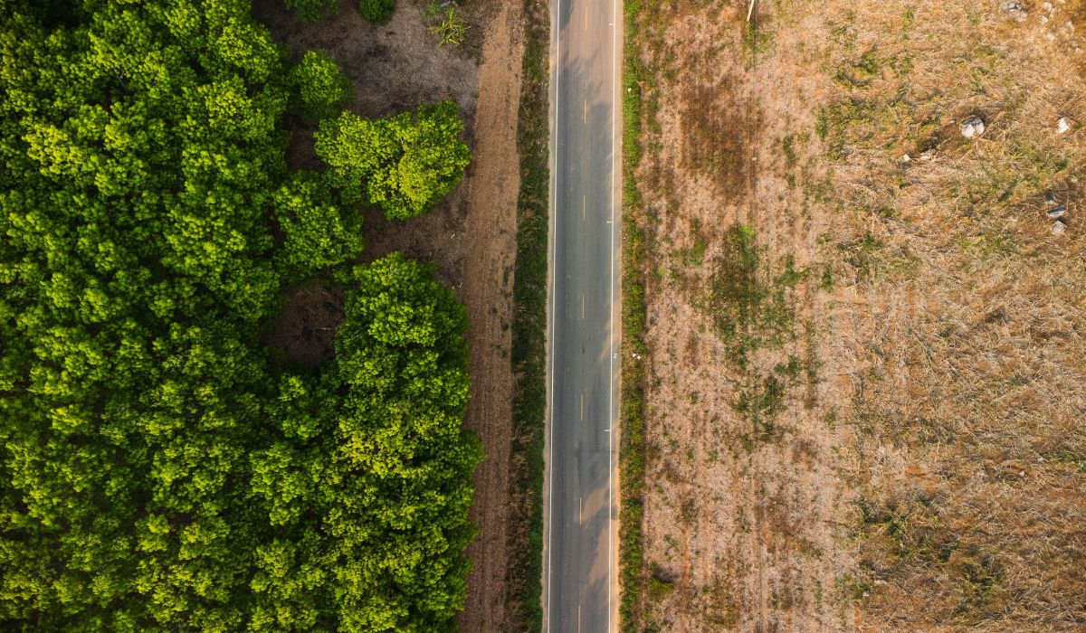Mapeamento Aéreo para Conservação e Gestão Ambiental — Imagem: Canva/Reprodução Mapeamento Aéreo para Conservação e Gestão Ambiental — Imagem: Canva/Reprodução