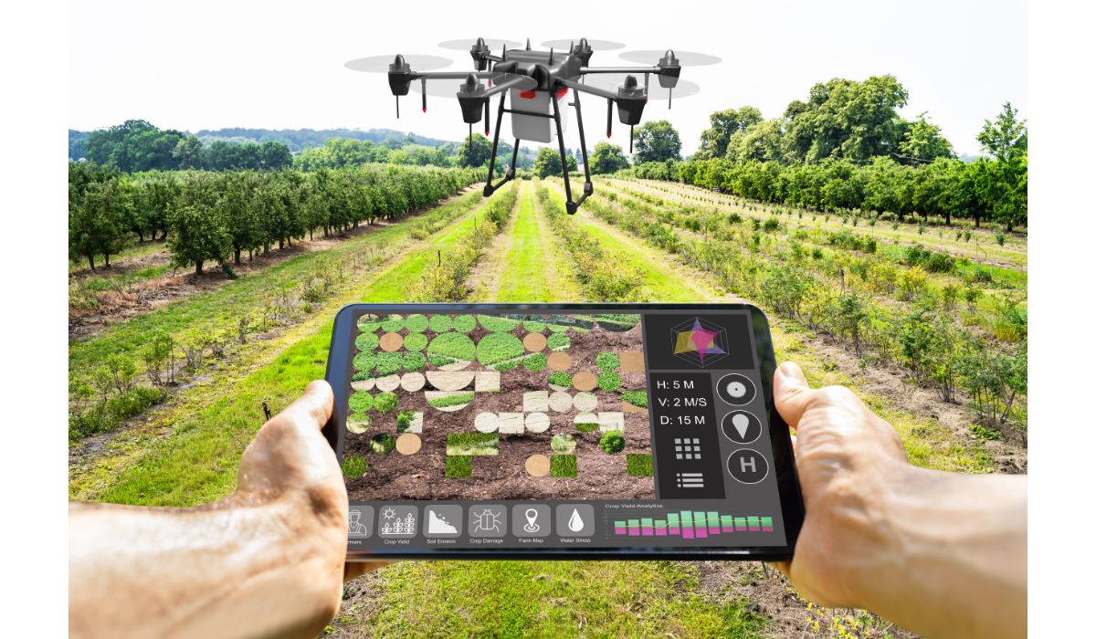 Análise de Satélite para Agricultura — Imagem: Canva/Reprodução Análise de Satélite para Agricultura — Imagem: Canva/Reprodução