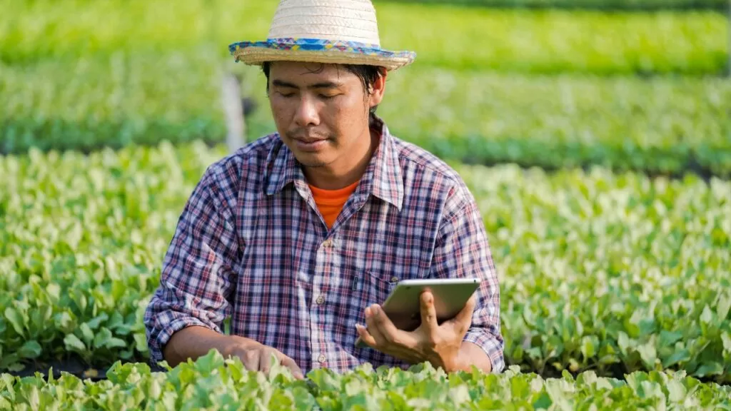 O que é Agricultura de Precisão? Reprodução: Canva