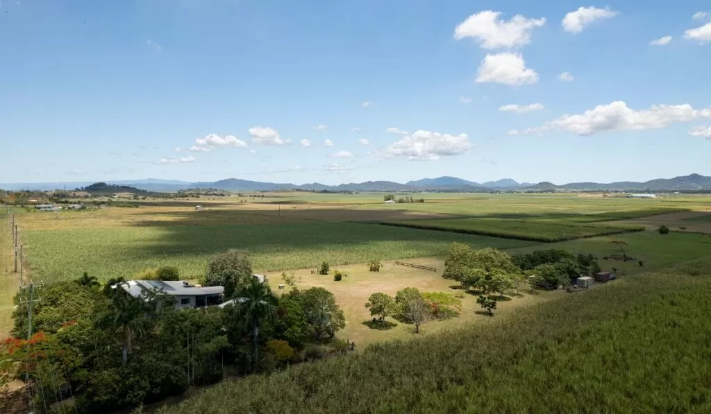 Análises do Cadastro Ambiental Rural — Imagem: Canva/Reprodução