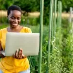 Os indispensáveis Apps para profissionais que trabalham em campo