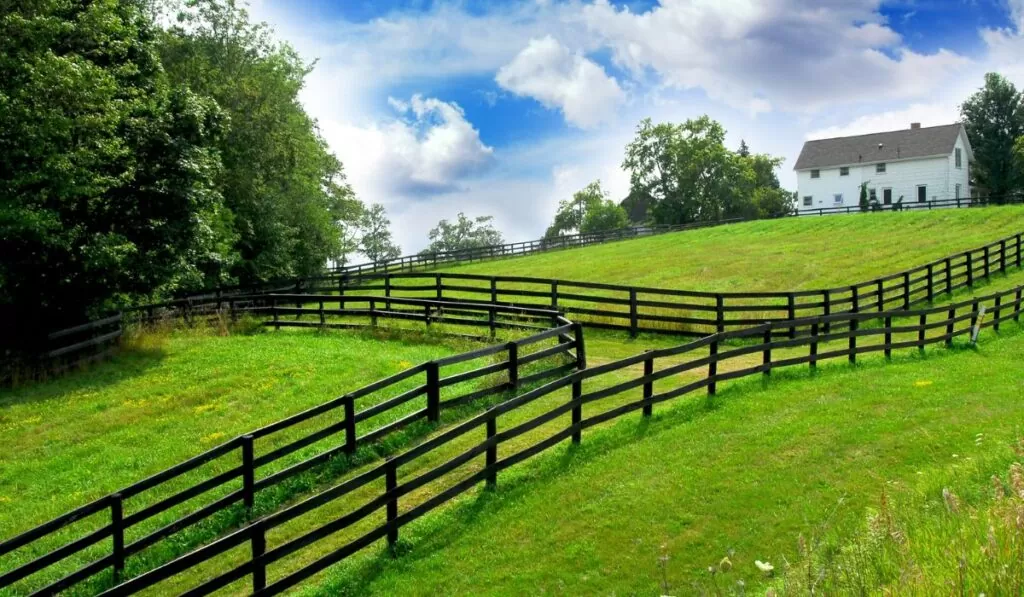 Georreferenciamento facilita a classificação de imóveis rurais — Imagem: Canva/Reprodução