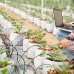 O Uso de Big Data Na Agricultura Mundial