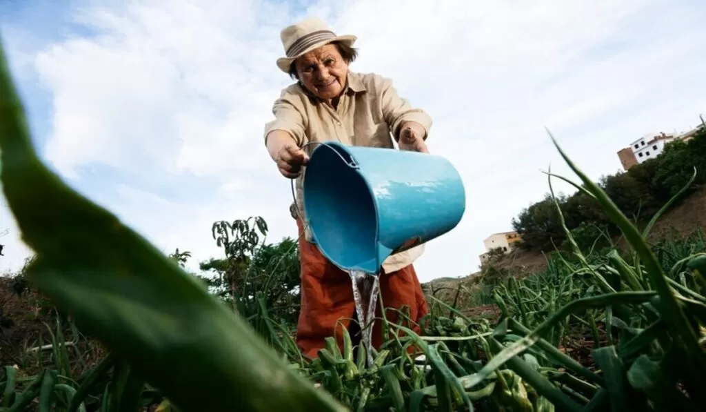 agricultura sustentável