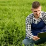 Como as Inovações Tecnológicas Podem Beneficiar os Agricultores Tradicionais? E Como Começar a Investir nelas?